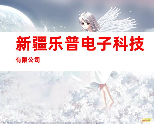 新疆乐普电子科技有限公司