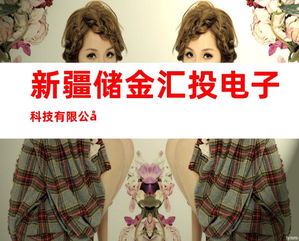 新疆储金汇投电子科技有限公司