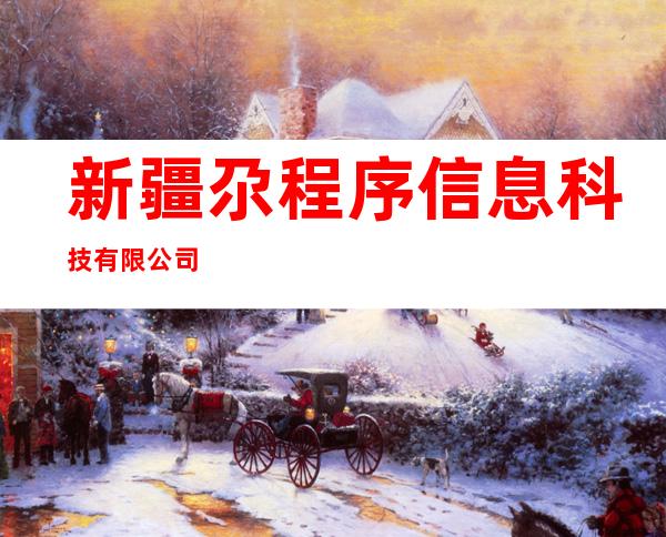 新疆尕程序信息科技有限公司