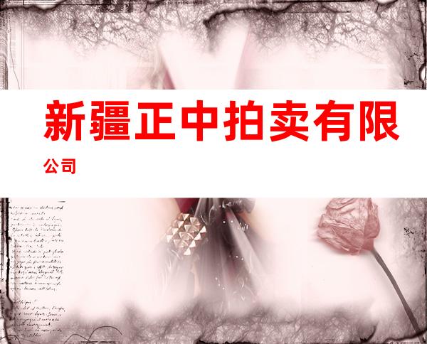 新疆正中拍卖有限公司