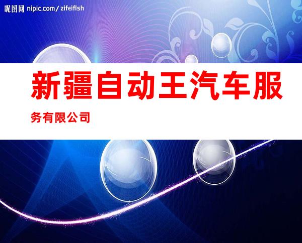新疆自动王汽车服务有限公司