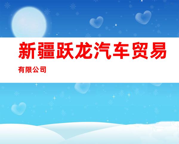 新疆跃龙汽车贸易有限公司