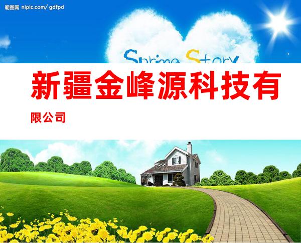 新疆金峰源科技有限公司
