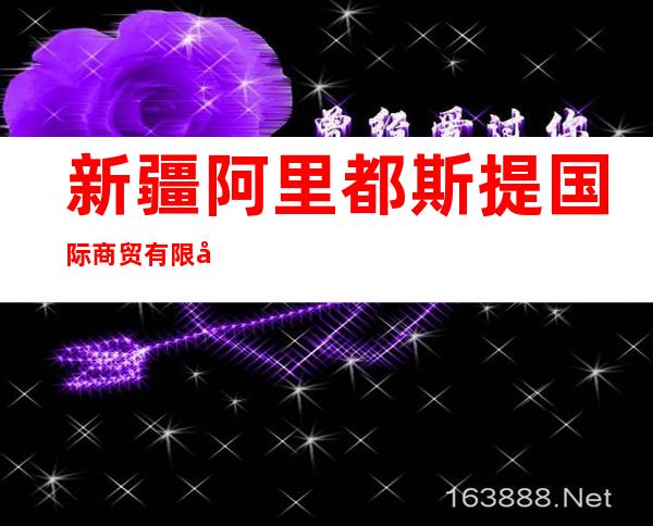 新疆阿里都斯提国际商贸有限公司