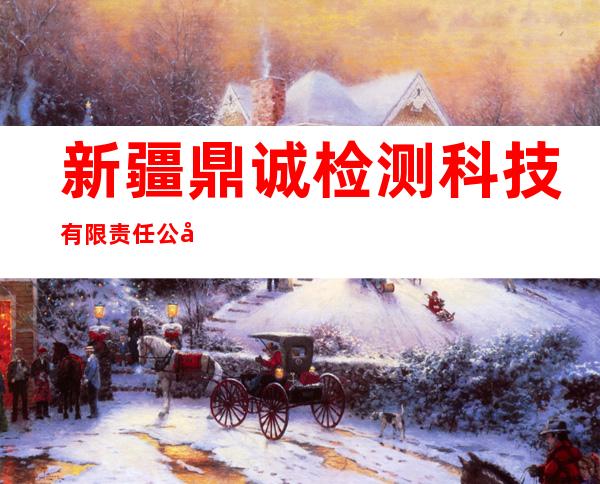 新疆鼎诚检测科技有限责任公司
