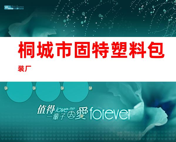 桐城市固特塑料包装厂