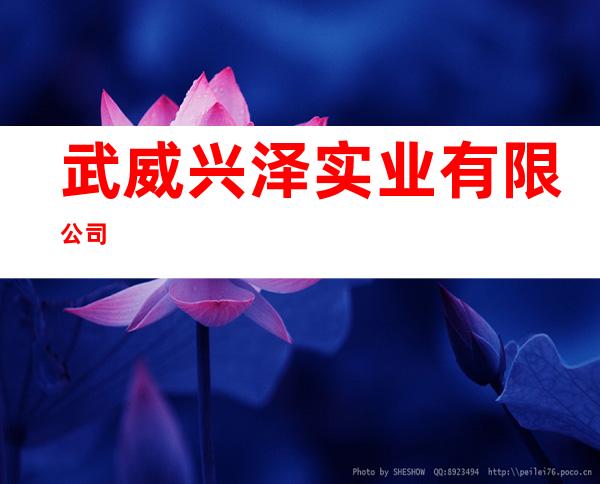 武威兴泽实业有限公司