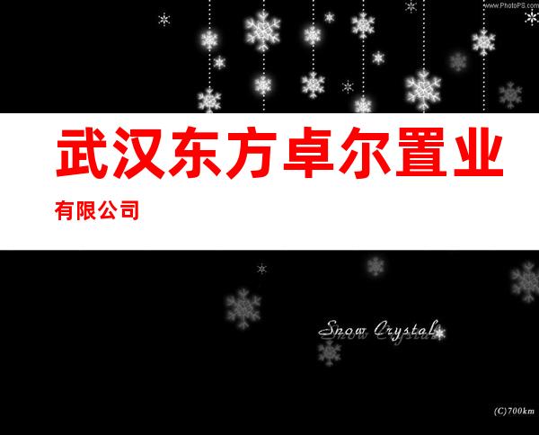 武汉东方卓尔置业有限公司
