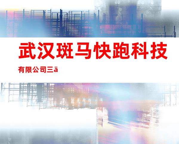武汉斑马快跑科技有限公司三亚分公司