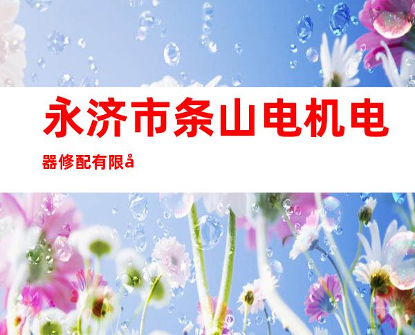 永济市条山电机电器修配有限公司