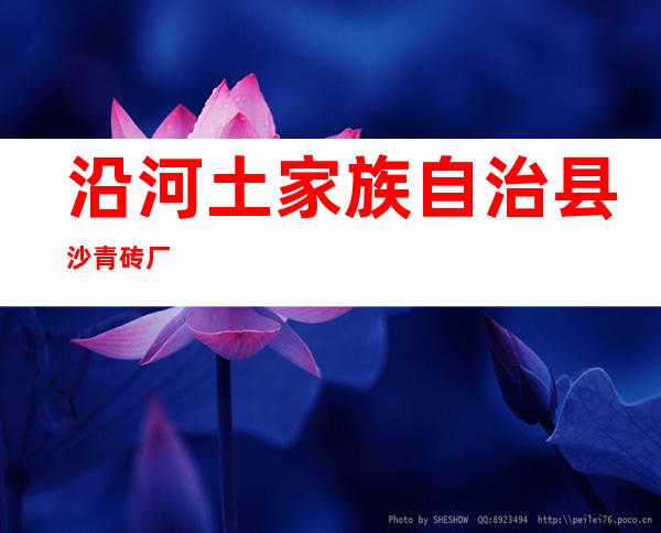 沿河土家族自治县沙青砖厂