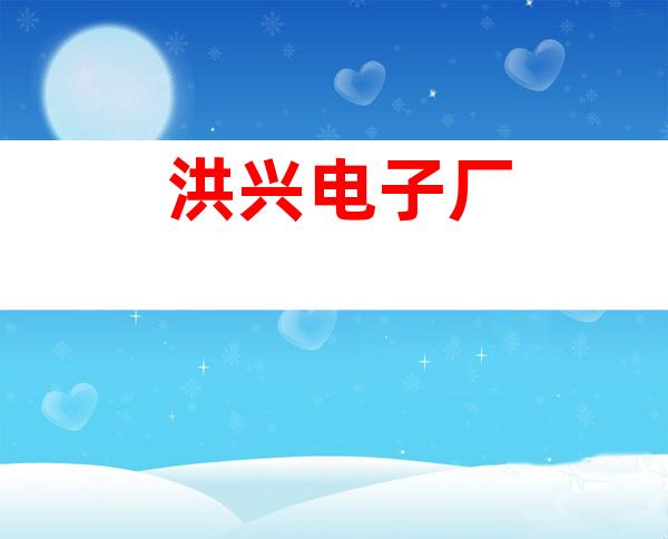 洪兴电子厂