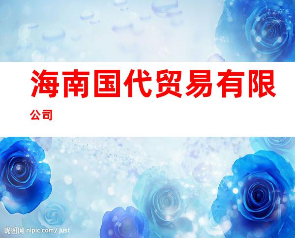 海南国代贸易有限公司