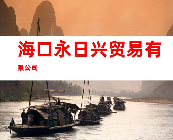 海口永日兴贸易有限公司