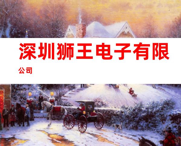 深圳狮王电子有限公司
