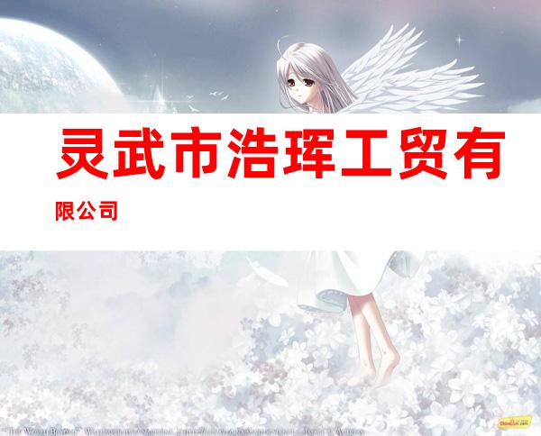 灵武市浩珲工贸有限公司