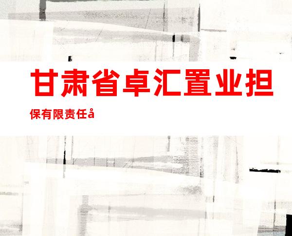 甘肃省卓汇置业担保有限责任公司