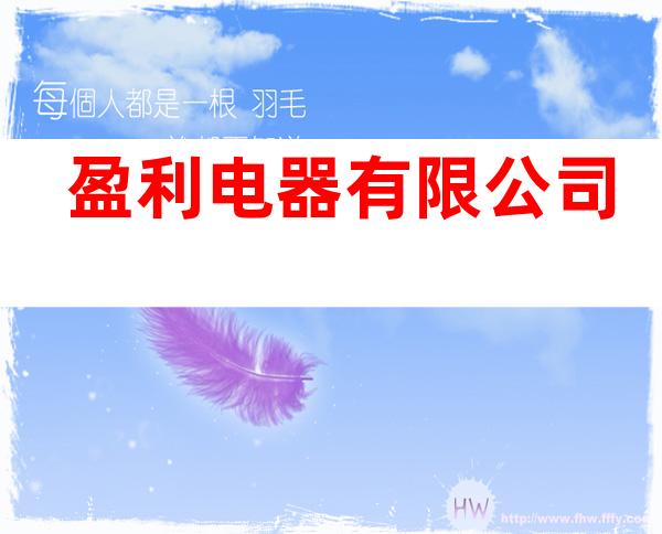 盈利电器有限公司