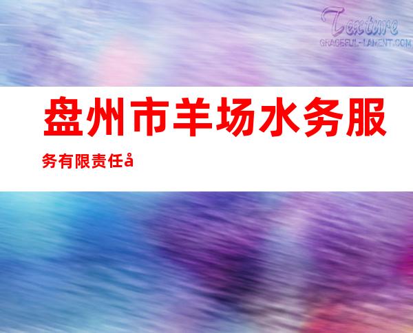 盘州市羊场水务服务有限责任公司