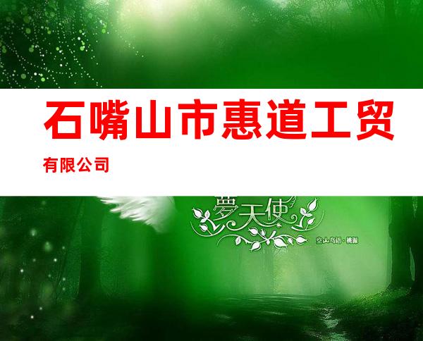 石嘴山市惠道工贸有限公司