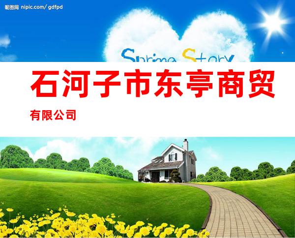 石河子市东亭商贸有限公司