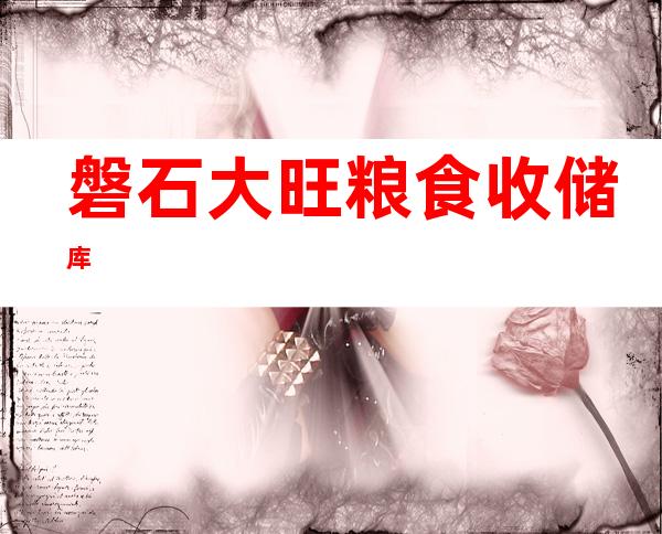 磐石大旺粮食收储库