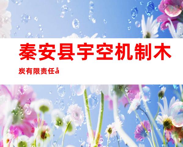 秦安县宇空机制木炭有限责任公司