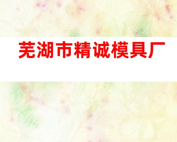 芜湖市精诚模具厂