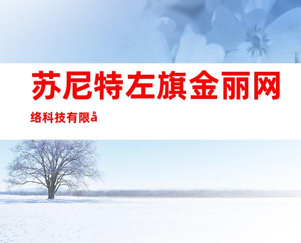 苏尼特左旗金丽网络科技有限公司