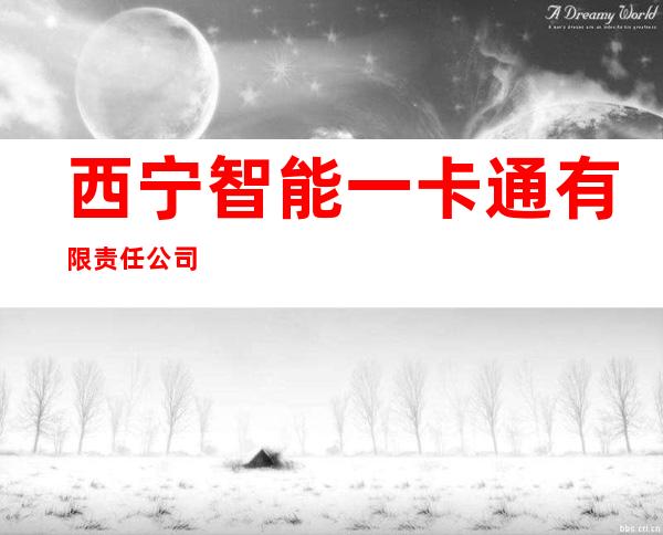 西宁智能一卡通有限责任公司