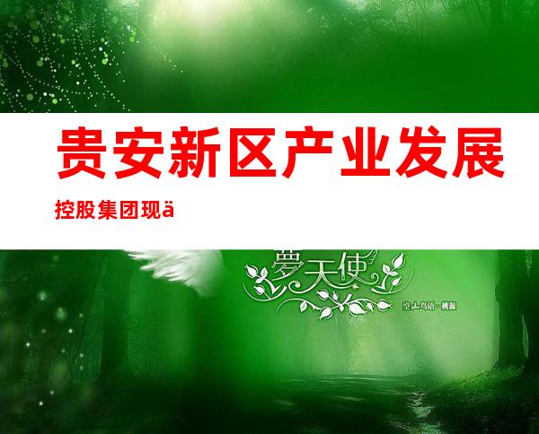 贵安新区产业发展控股集团现代物业管理有限公司