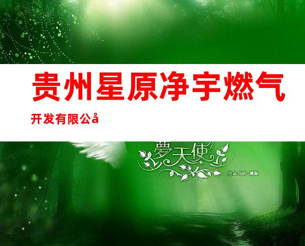 贵州星原净宇燃气开发有限公司