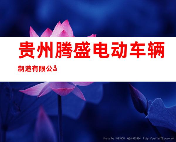 贵州腾盛电动车辆制造有限公司