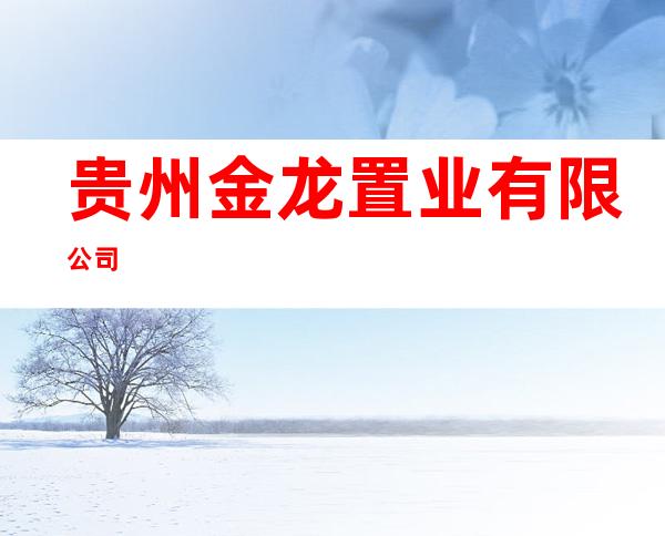 贵州金龙置业有限公司