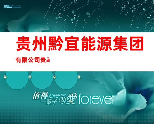 贵州黔宜能源集团有限公司贵州百里杜鹃百纳乡九龙湾子煤矿