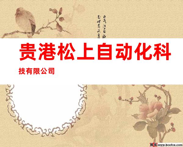 贵港松上自动化科技有限公司