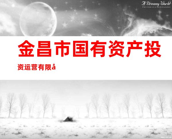 金昌市国有资产投资运营有限公司