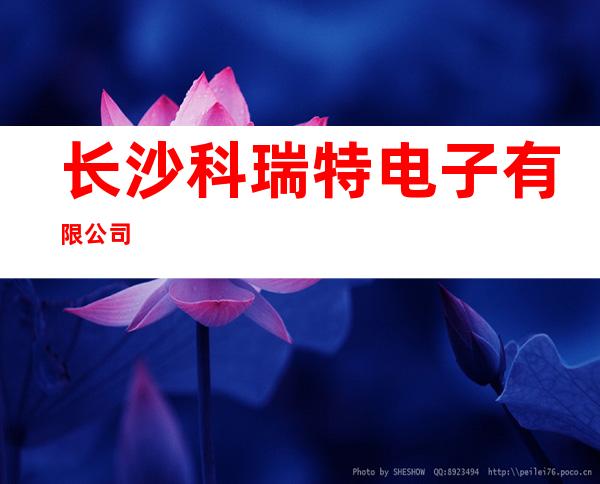 长沙科瑞特电子有限公司