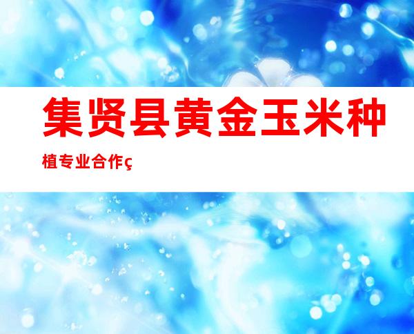 集贤县黄金玉米种植专业合作社