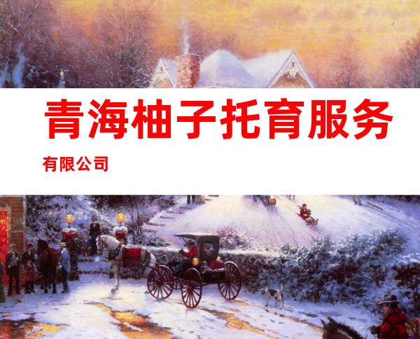 青海柚子托育服务有限公司