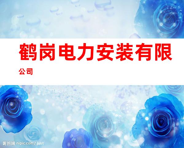 鹤岗电力安装有限公司