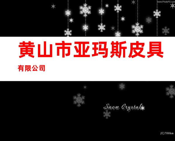 黄山市亚玛斯皮具有限公司