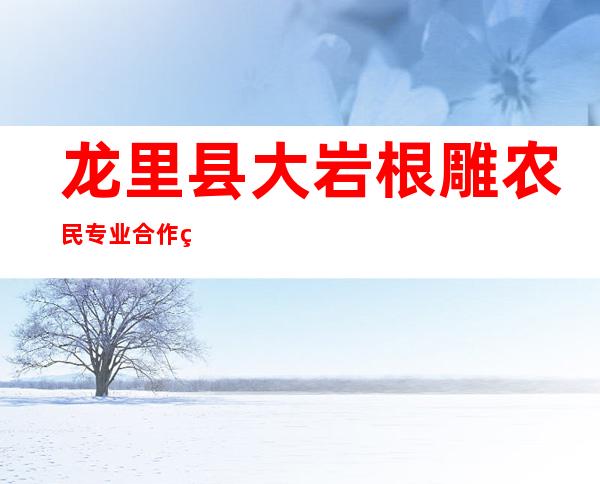 龙里县大岩根雕农民专业合作社